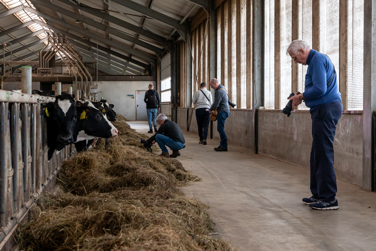 Doedag boerderijleven 10001