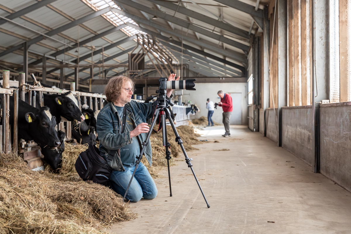 Doedag boerderijleven 10007